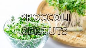 BROCCOLI