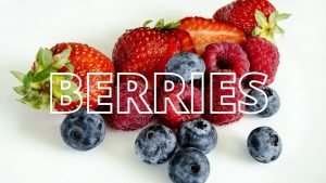 Berries