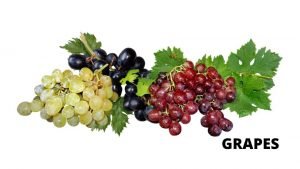 GRAPES