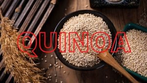 Quinoa fat burning foods