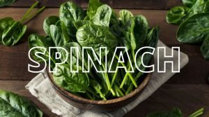 SPINACH