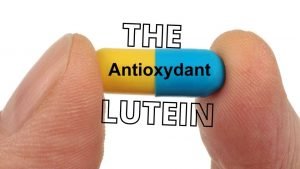 Antioxydant Lutein