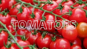 Tomatoes