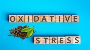 Oxidative-Stress