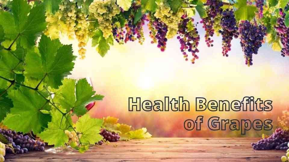 Health Benefits of Grapes