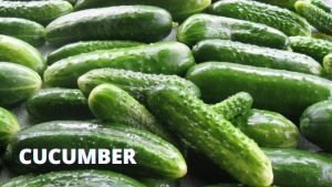 CUCUMBER