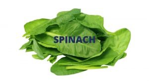 SPINACH