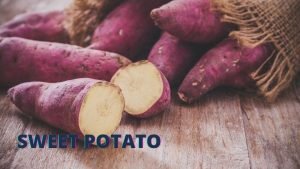 SWEET-POTATO