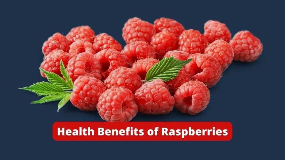 10 Amazing Health Benefits Of Raspberries Nutrition